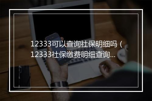 12333可以查询社保明细吗（12333社保缴费明细查询教程）