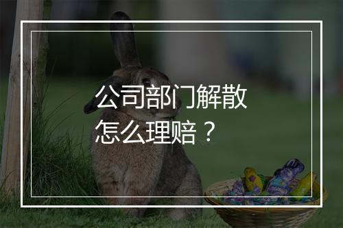公司部门解散怎么理赔？