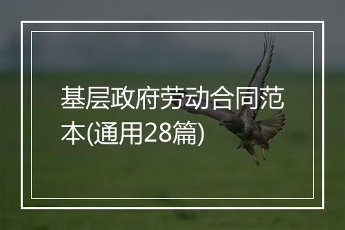 基层政府劳动合同范本(通用28篇)