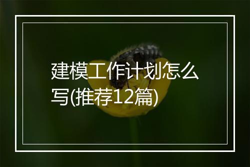 建模工作计划怎么写(推荐12篇)