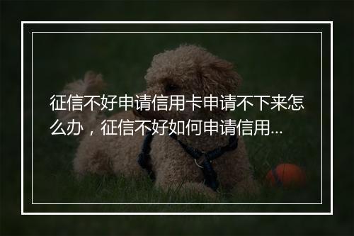 征信不好申请信用卡申请不下来怎么办，征信不好如何申请信用卡