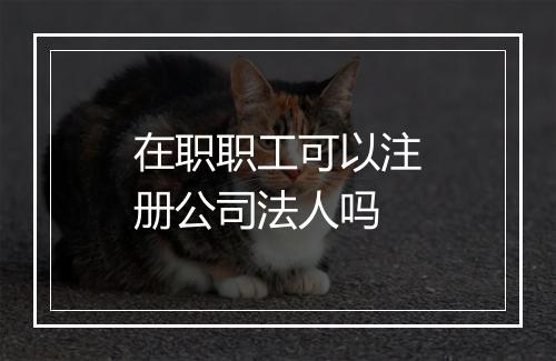 在职职工可以注册公司法人吗