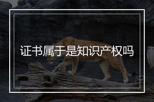 证书属于是知识产权吗