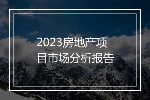 2023房地产项目市场分析报告