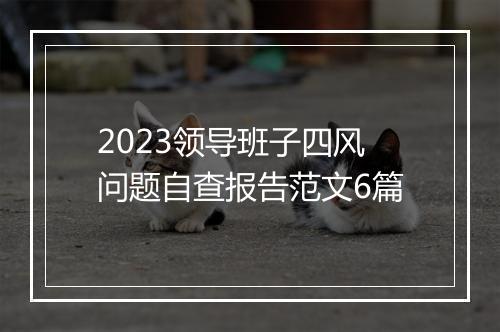 2023领导班子四风问题自查报告范文6篇