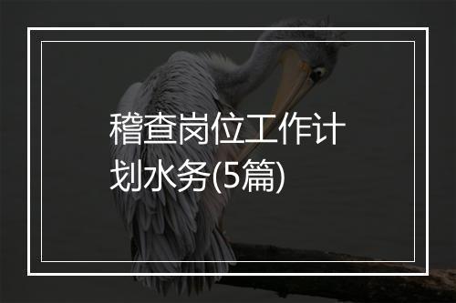 稽查岗位工作计划水务(5篇)