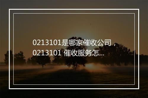 0213101是哪家催收公司，0213101 催收服务怎么样