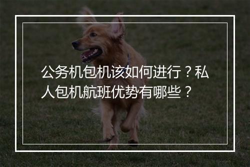 公务机包机该如何进行？私人包机航班优势有哪些？