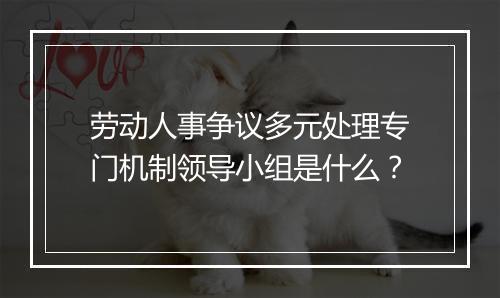 劳动人事争议多元处理专门机制领导小组是什么？