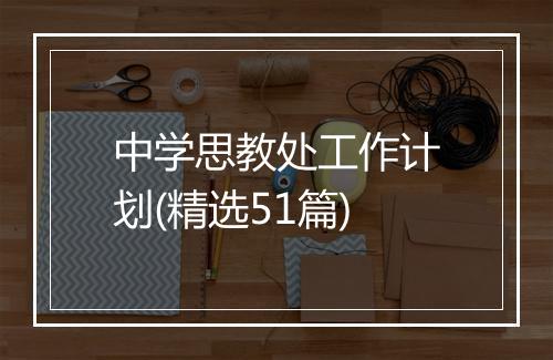 中学思教处工作计划(精选51篇)