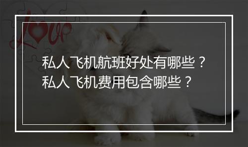 私人飞机航班好处有哪些？私人飞机费用包含哪些？
