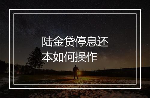 陆金贷停息还本如何操作