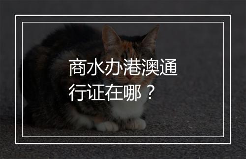商水办港澳通行证在哪？