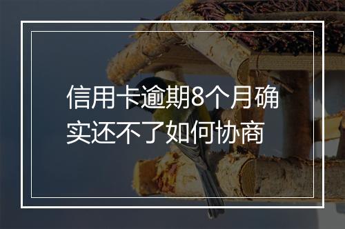信用卡逾期8个月确实还不了如何协商