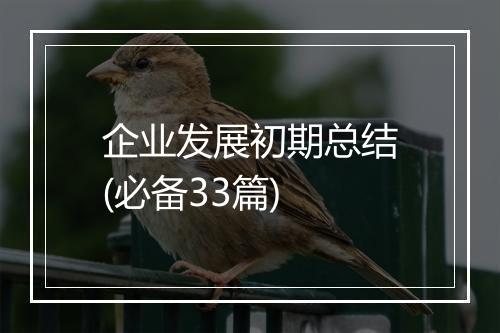 企业发展初期总结(必备33篇)