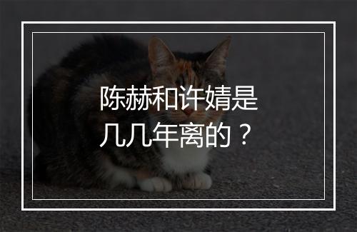 陈赫和许婧是几几年离的？