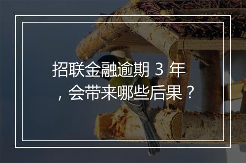 招联金融逾期 3 年，会带来哪些后果？