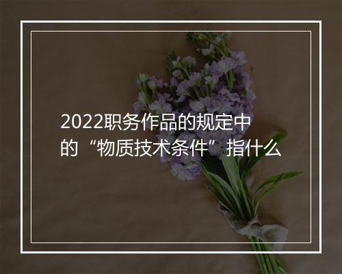 2022职务作品的规定中的“物质技术条件”指什么