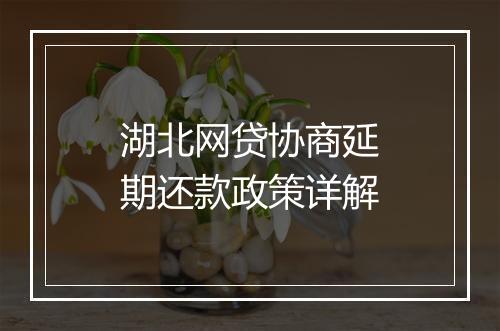 湖北网贷协商延期还款政策详解