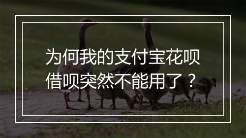 为何我的支付宝花呗借呗突然不能用了？