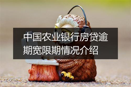 中国农业银行房贷逾期宽限期情况介绍