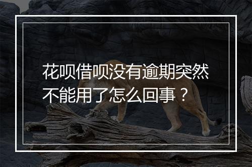 花呗借呗没有逾期突然不能用了怎么回事？