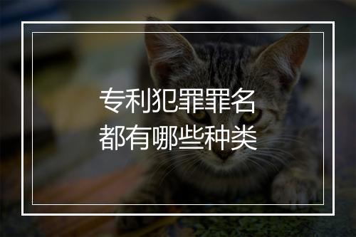 专利犯罪罪名都有哪些种类