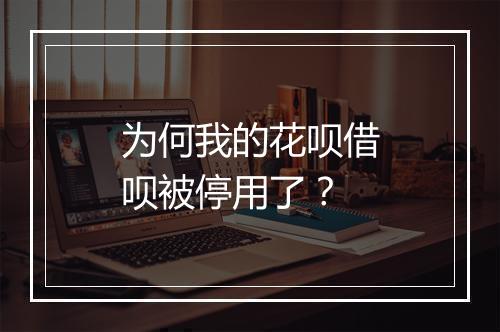 为何我的花呗借呗被停用了？