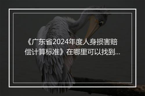 《广东省2024年度人身损害赔偿计算标准》在哪里可以找到？