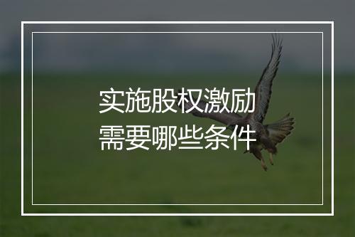 实施股权激励需要哪些条件