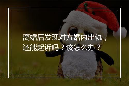 离婚后发现对方婚内出轨，还能起诉吗？该怎么办？