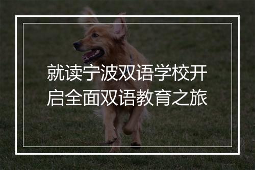 就读宁波双语学校开启全面双语教育之旅