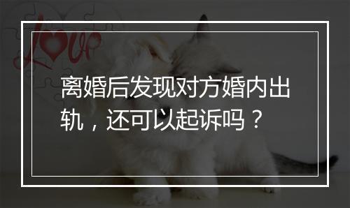 离婚后发现对方婚内出轨，还可以起诉吗？
