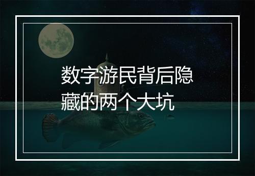 数字游民背后隐藏的两个大坑