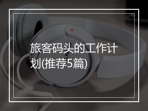 旅客码头的工作计划(推荐5篇)
