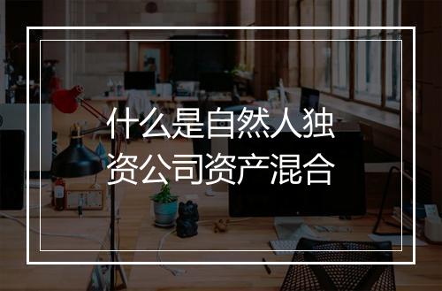 什么是自然人独资公司资产混合
