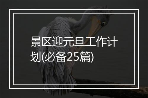 景区迎元旦工作计划(必备25篇)