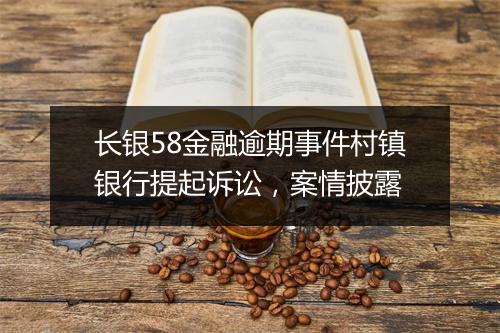 长银58金融逾期事件村镇银行提起诉讼，案情披露