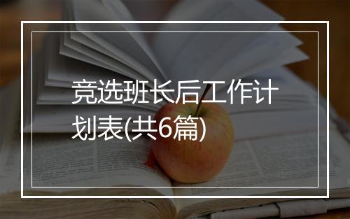 竞选班长后工作计划表(共6篇)