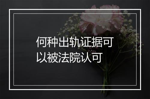 何种出轨证据可以被法院认可