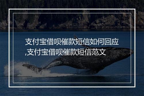 支付宝借呗催款短信如何回应,支付宝借呗催款短信范文