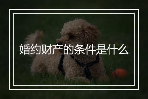 婚约财产的条件是什么
