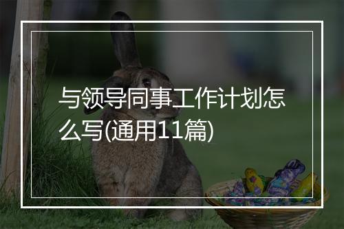 与领导同事工作计划怎么写(通用11篇)