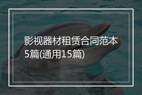 影视器材租赁合同范本5篇(通用15篇)