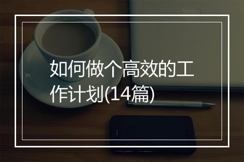 如何做个高效的工作计划(14篇)