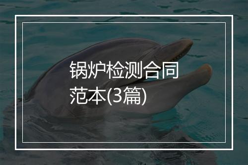 锅炉检测合同范本(3篇)