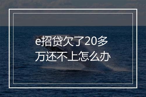 e招贷欠了20多万还不上怎么办