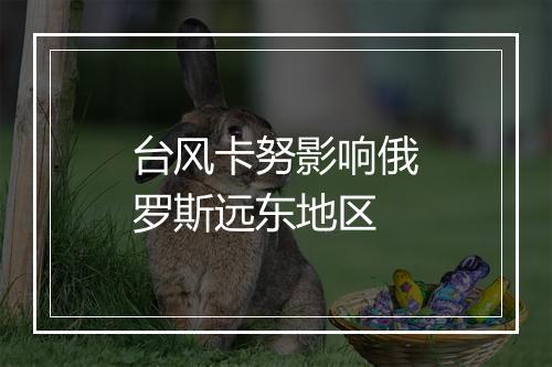 台风卡努影响俄罗斯远东地区