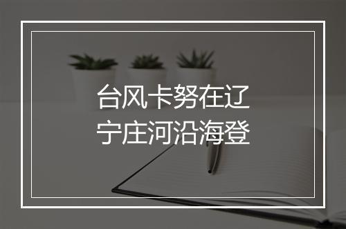 台风卡努在辽宁庄河沿海登