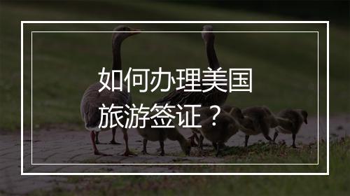 如何办理美国旅游签证？